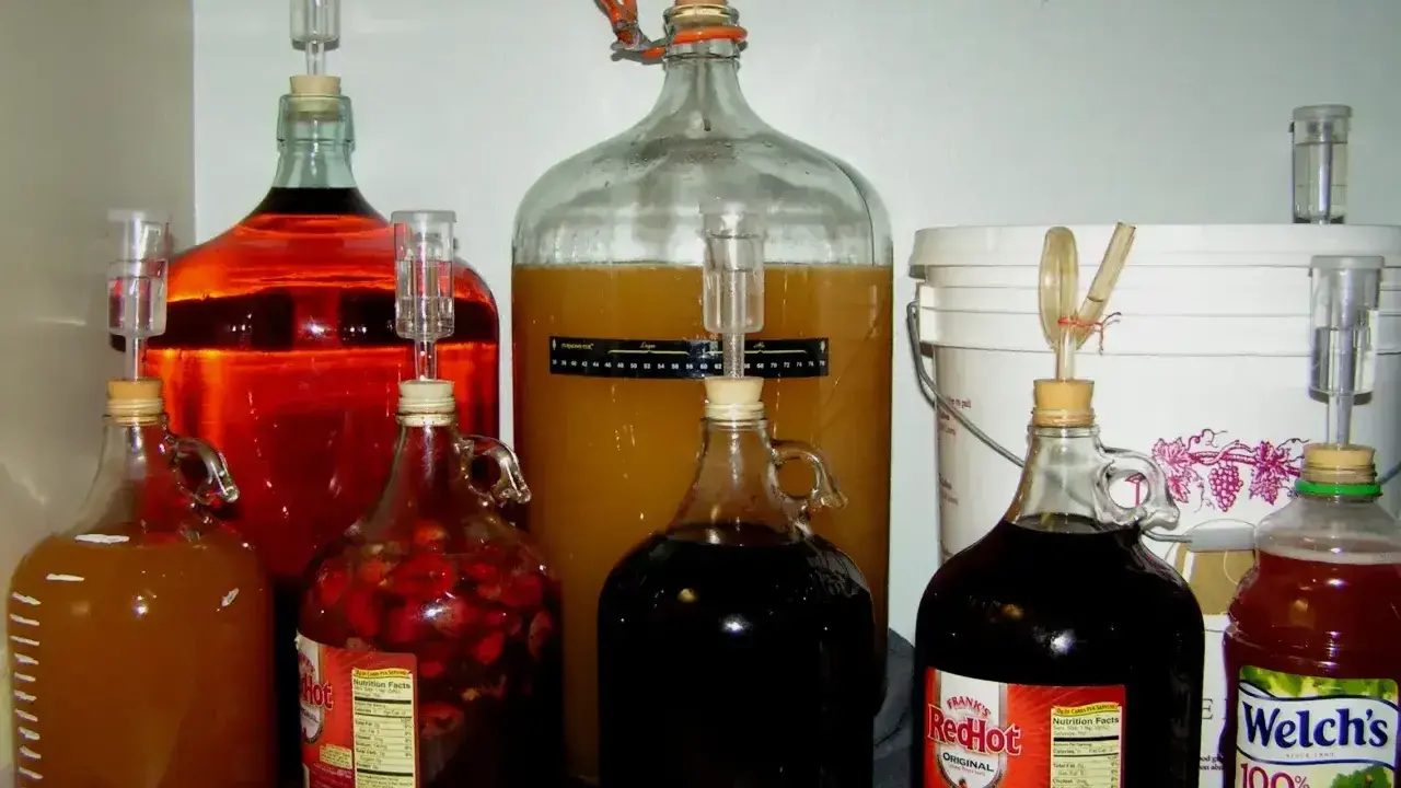 Fermentoryjne balony z płynami o różnych kolorach, z rurkami fermentacyjnymi, pokazują, jak powstaje alkohol.
