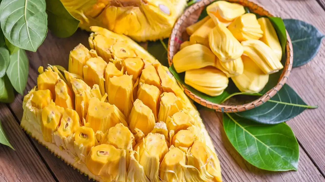 Chlebowiec właściwości: soczyste, żółte segmenty owocu jackfruit, częściowo wyjęte z łupiny i ułożone w koszyku, otoczone zielonymi liśćmi.