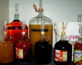 Fermentoryjne balony z płynami o różnych kolorach, z rurkami fermentacyjnymi, pokazują, jak powstaje alkohol.
