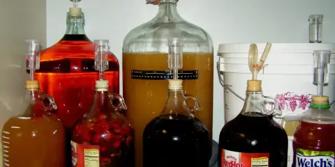 Fermentoryjne balony z płynami o różnych kolorach, z rurkami fermentacyjnymi, pokazują, jak powstaje alkohol.