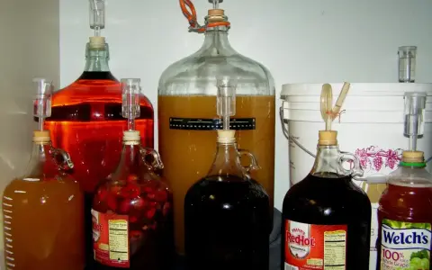 Fermentoryjne balony z płynami o różnych kolorach, z rurkami fermentacyjnymi, pokazują, jak powstaje alkohol.
