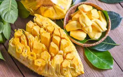 Chlebowiec właściwości: soczyste, żółte segmenty owocu jackfruit, częściowo wyjęte z łupiny i ułożone w koszyku, otoczone zielonymi liśćmi.