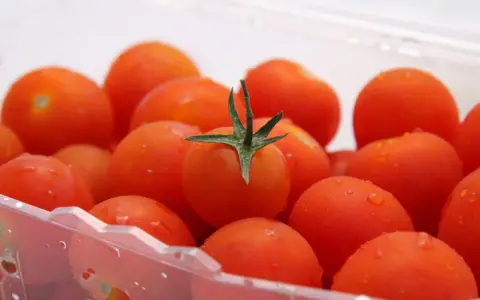Soczyste pomidorki koktajlowe w plastikowym opakowaniu. Dowiedz się, jak przechowywać pomidory, by zachowały świeżość.