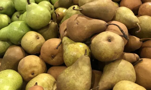 Różne rodzaje gruszek, od zielonych po brązowe, ułożone w stos.