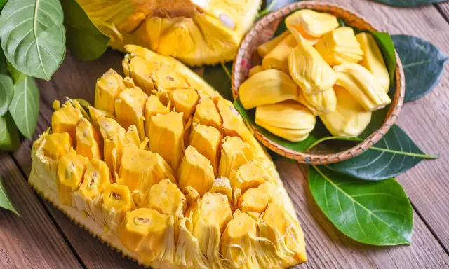 Chlebowiec właściwości: soczyste, żółte segmenty owocu jackfruit, częściowo wyjęte z łupiny i ułożone w koszyku, otoczone zielonymi liśćmi.