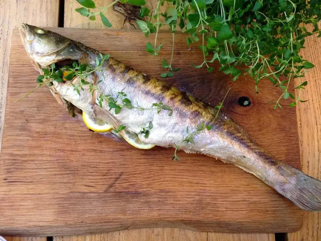 Pieczony sandacz z cytryną i tymiankiem. Delikatne mięso ryby, które tak kusi, jak smakuje sandacz.